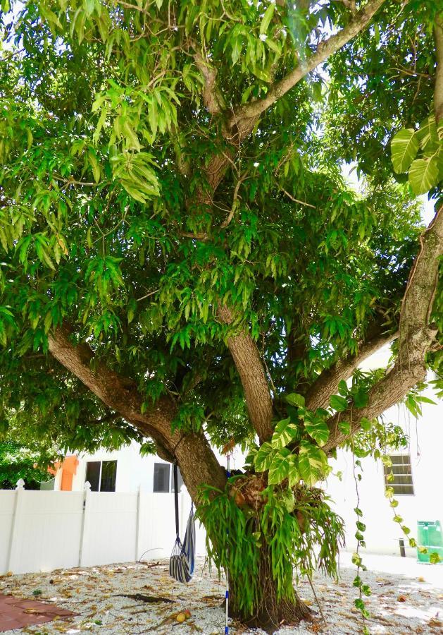 Beautiful Casita With King Bed And Private Patio Close To Calle 8, Mia Airport, Coral Gables Miami Ngoại thất bức ảnh